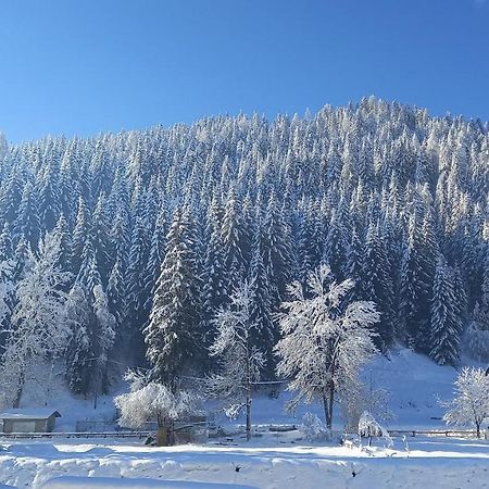 Apartament Darenato Santo Stefano Di Cadore Zewnętrze zdjęcie