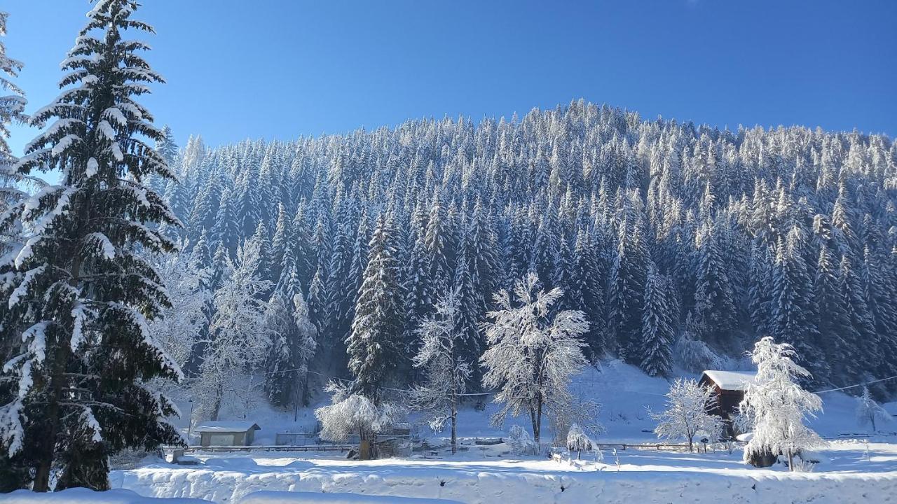 Apartament Darenato Santo Stefano Di Cadore Zewnętrze zdjęcie